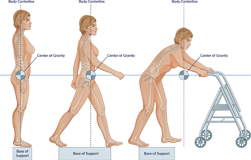 Center of Gravity. Gravity body. Zero of Gravity или lack of Gravity. The Effects of Gravity on the Human body.