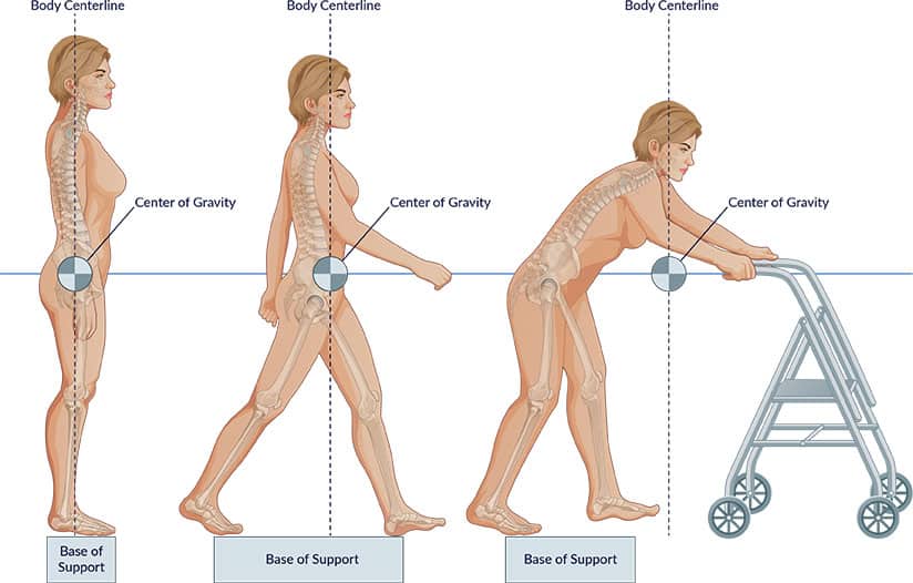 Center Of Gravity Stand